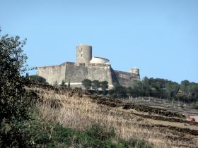 photo coins arrondis